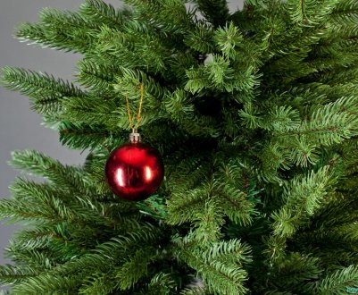 Новорічну ялинку можна перетворити в «їдальню» для кіз та птахів