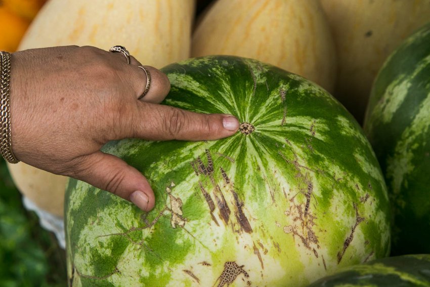 По підлозі кавуна