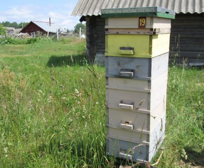 Переваги альпійського вулика і самостійне його виготовлення