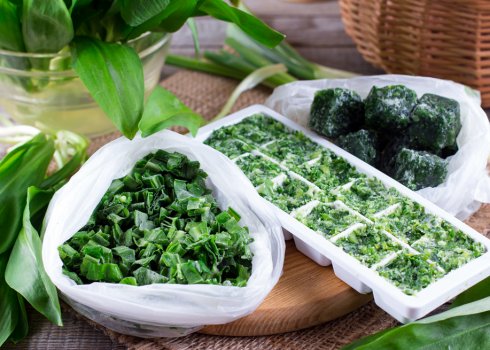 Можно ли замораживать зелёный лук и как это сделать в домашних условиях?