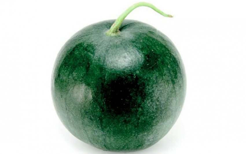 Цукровий малюк