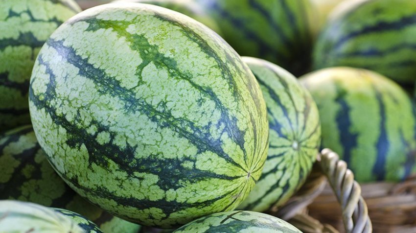 Збирання та зберігання врожаю