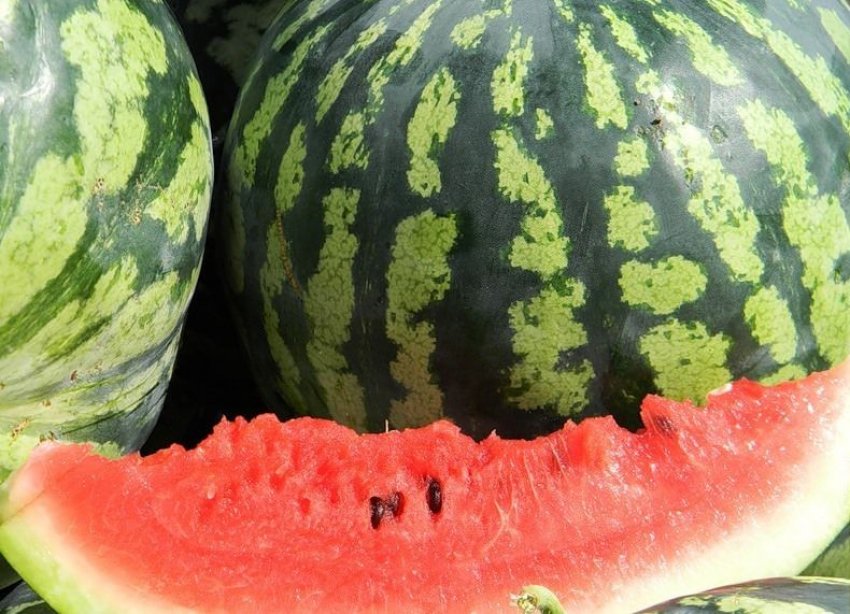 Астраханський