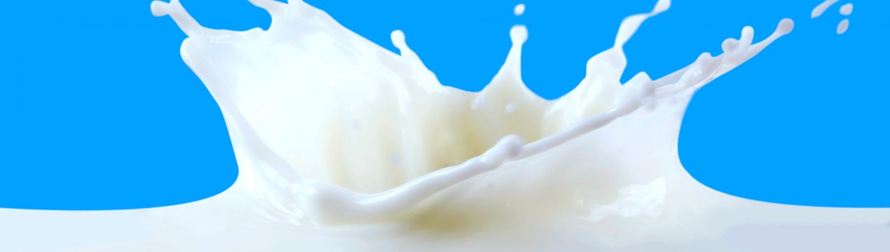 У фальшивого російського молока солодке життя закінчується