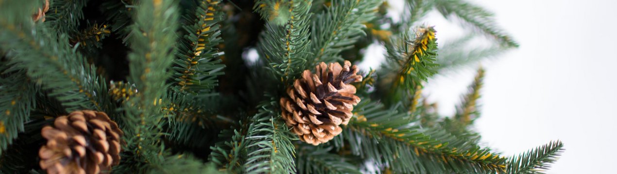 Москва розбиває новорічну радість в тріски