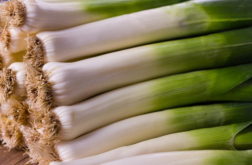 Цибулю-порей Цибулю-порей