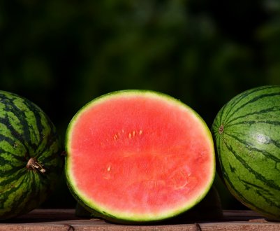 Особливості сорти кавуна без кісточок