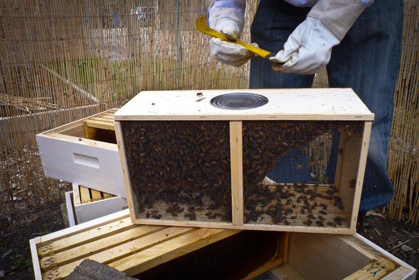 Скорочення рамок Скорочення рамок