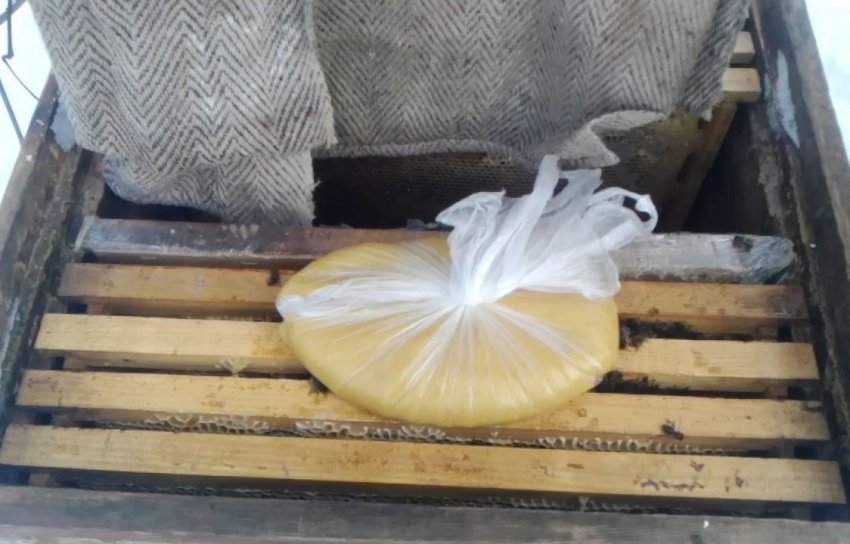 Особливості підгодівлі бджіл Особливості підгодівлі бджіл