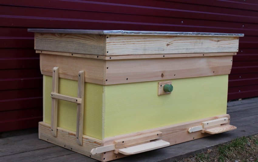 Вулик-лежак звичайний