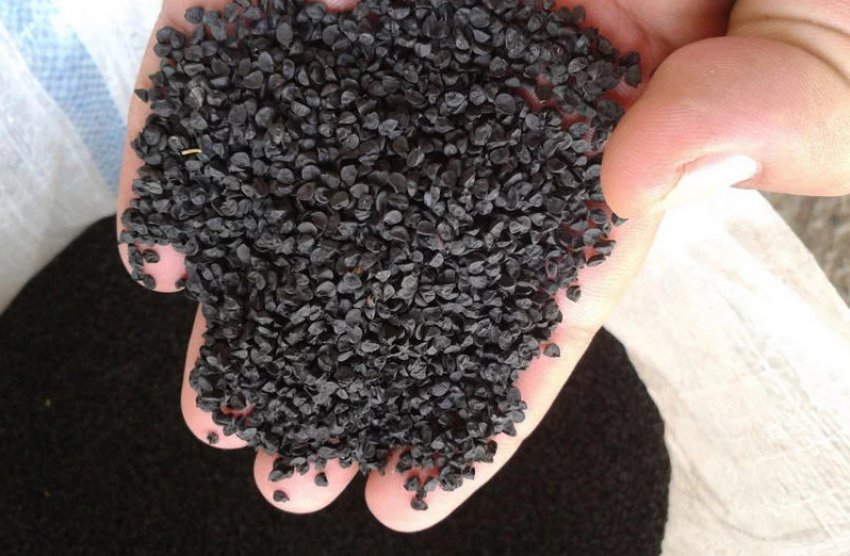 Підготовка насіння до посіву Підготовка насіння до посіву