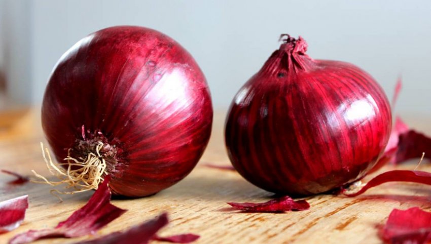 Цибулю Чорний принц