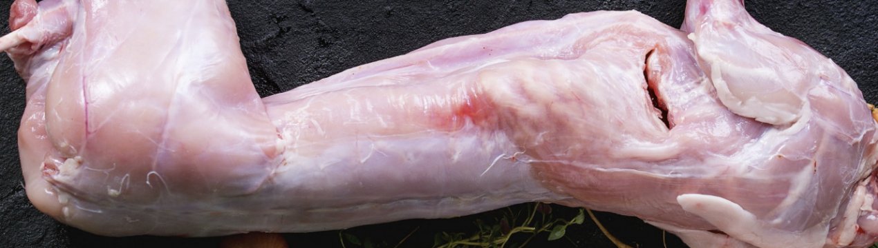 М'ясо кролика: користь і шкода для організму, склад, правила вибору