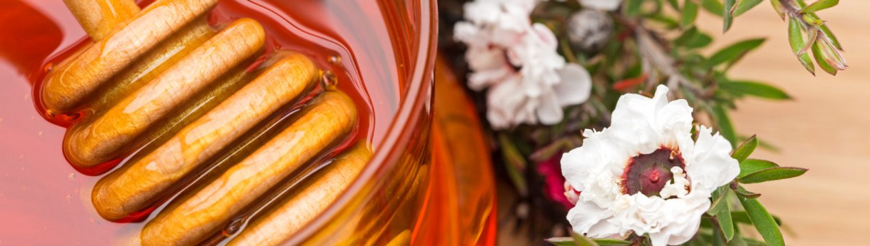 Особенности и полезные свойства мёда из мануки