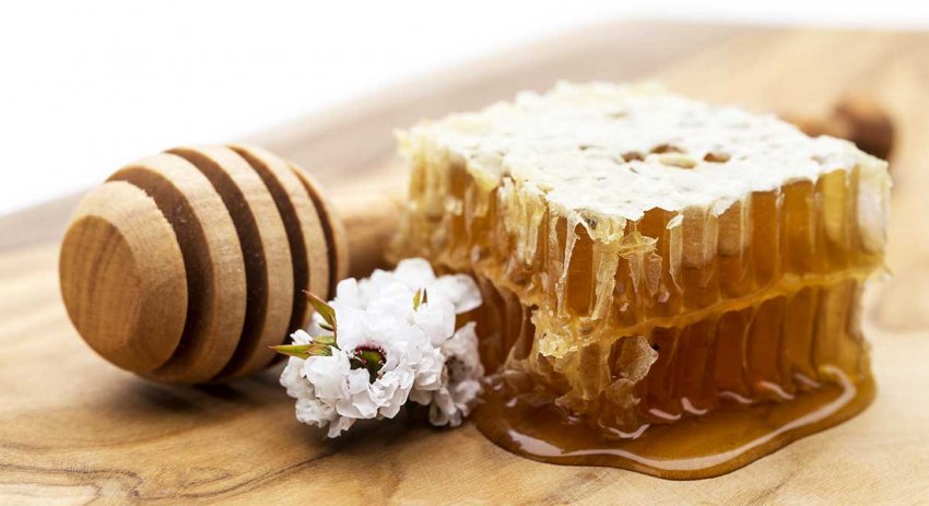 Свойства мёда из мануки