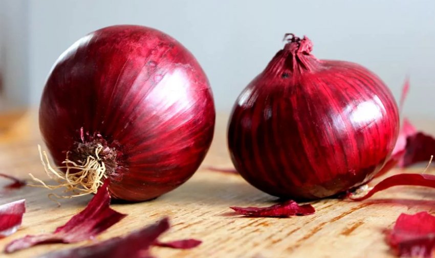 Цибулю Кармен Цибулю Кармен