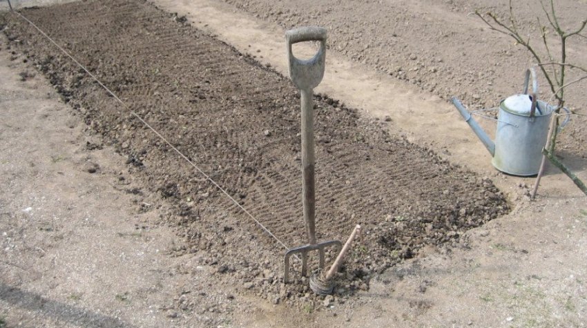 Грядка для посадки цибулі Грядка для посадки цибулі