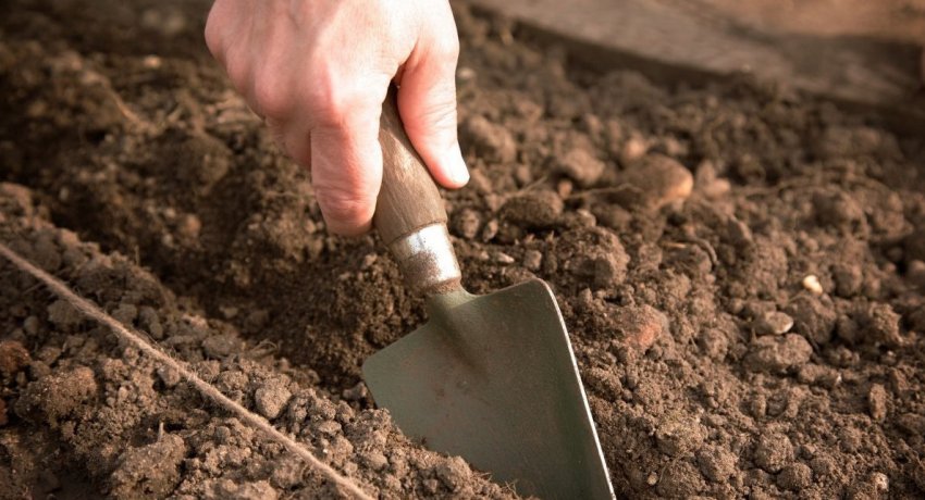 Обробка ґрунту навесні Обробка ґрунту навесні