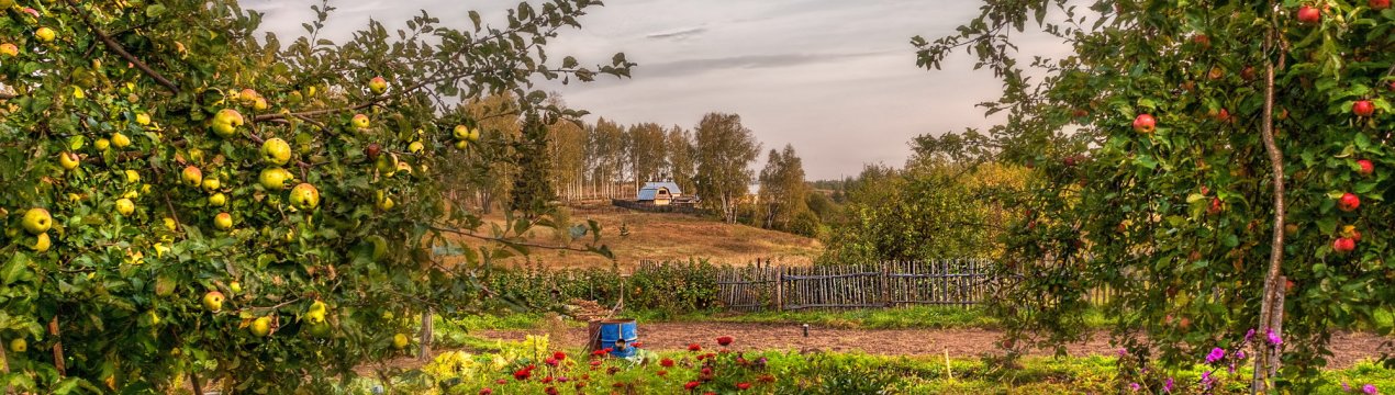 Кубань має всі шанси перетворитися в гігантський родючий сад