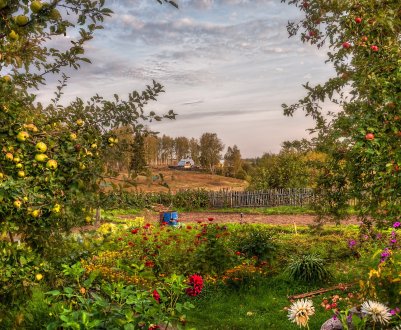 Кубань має всі шанси перетворитися в гігантський родючий сад