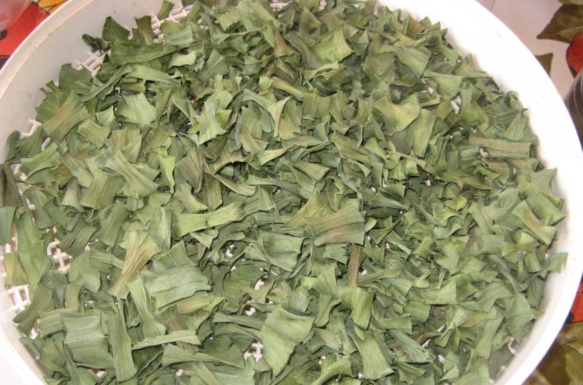 Цибулю-порей