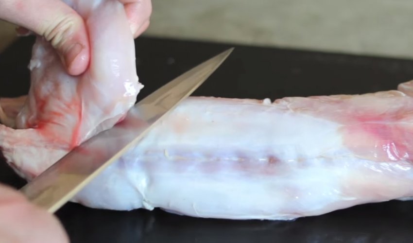 Задні ноги Задні ноги