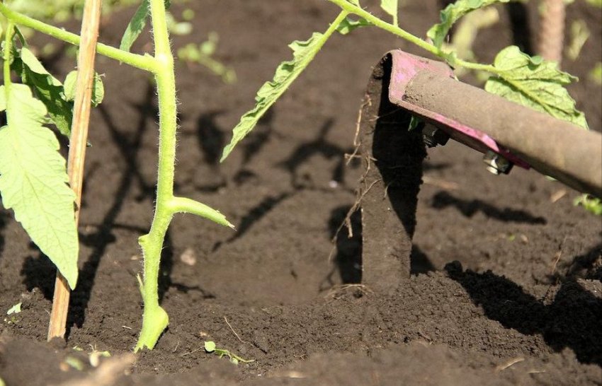 Догляд за ґрунтом