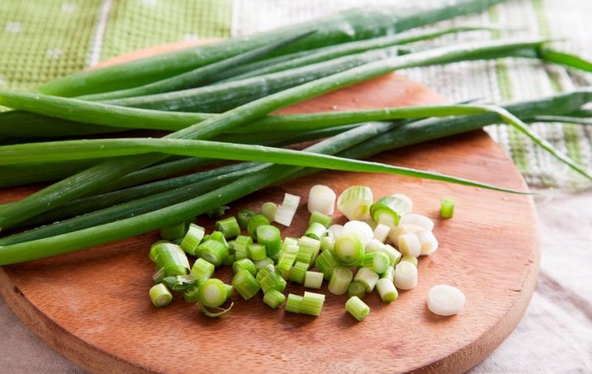 Зелений лук Зелений лук