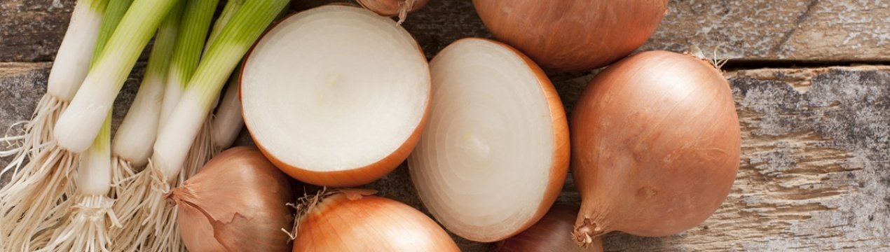 Алергія на цибулю у дорослих і у дітей: симптоми і методи лікування