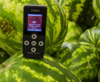 Перевіряємо кавуни на нітрати в домашніх умовах