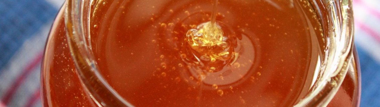 Особливості та користь фацелиевого меду