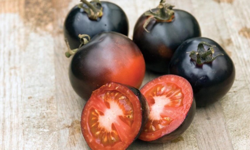 Томат Індиго троянді