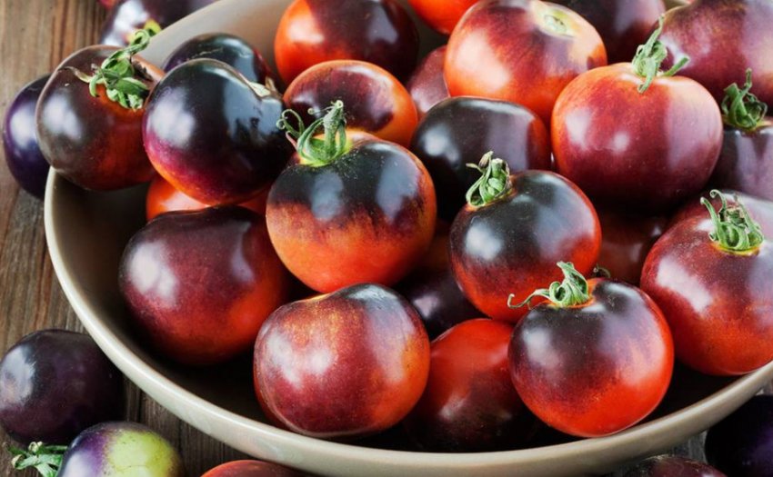 Збирання та зберігання врожаю