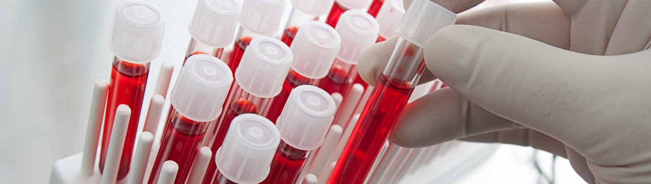 Іспанська м'ясник пригощає туристів ковбасою з їх власної крові