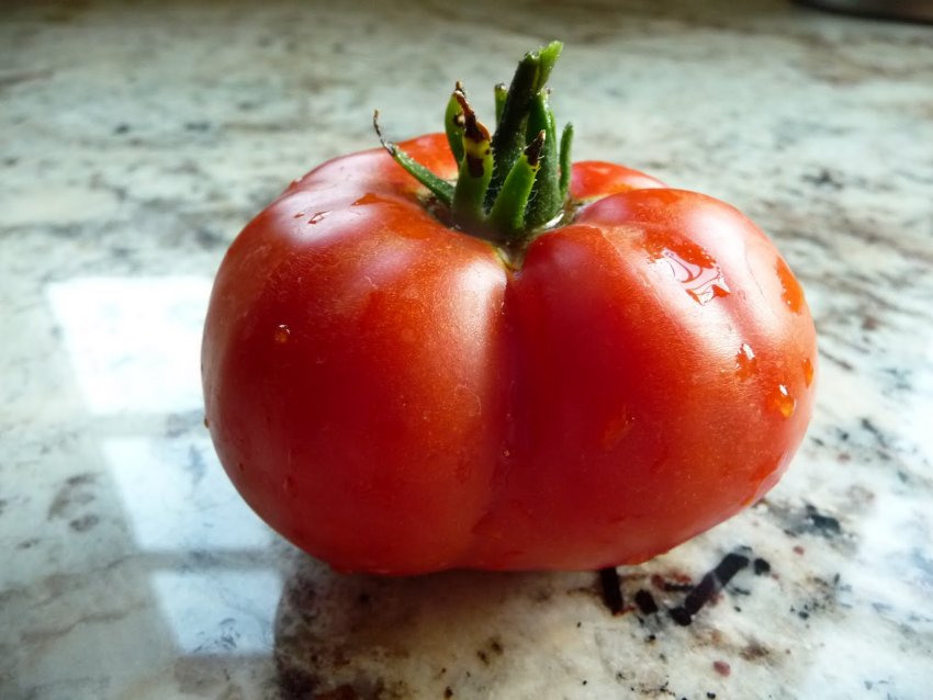 Переваги і недоліки