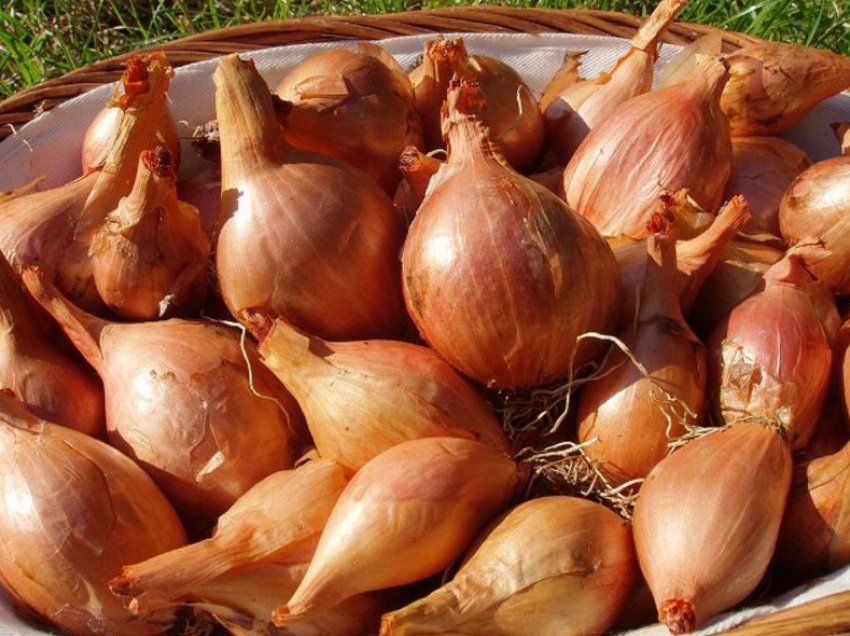 Кунак Кунак