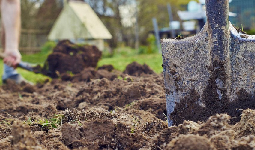 Грунт для посадки