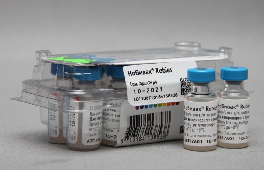 Нобівак Рабієс