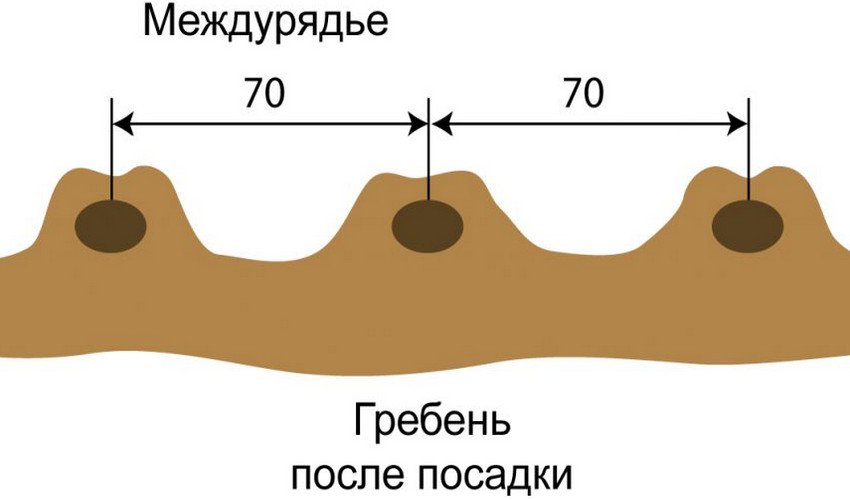 Гребеневої спосіб