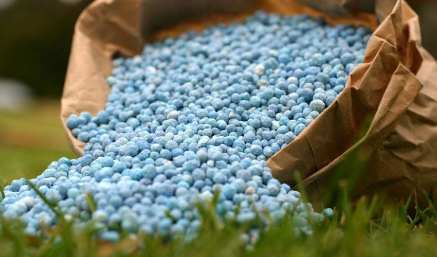 Азотні добрива