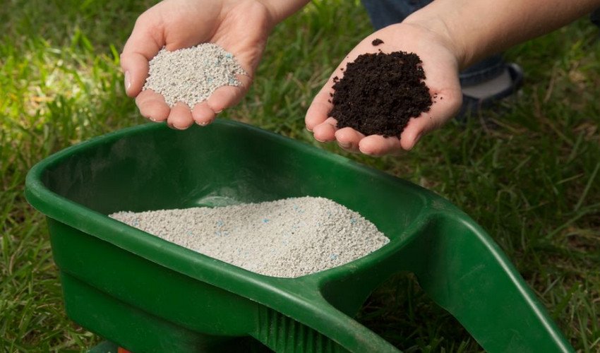 Фосфорні добрива