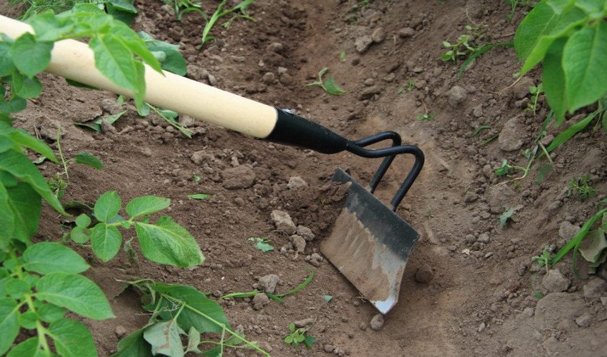 Підгортання