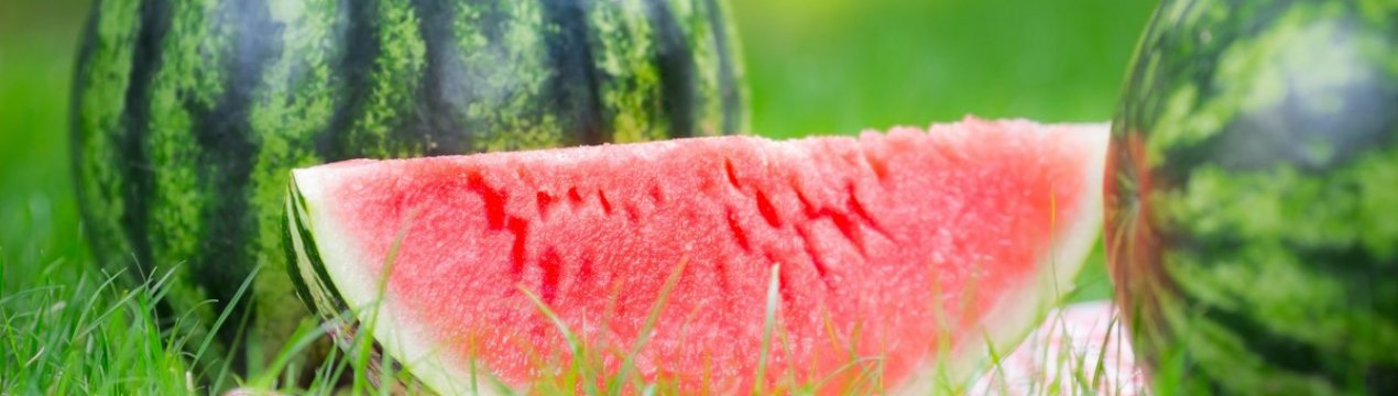 Кавун: опис, користь і шкоду для здоров'я, хімічний склад, способи вживання і калорійність