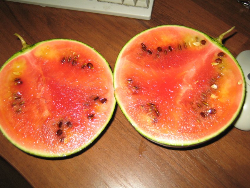 Протипоказання та можливу шкоду Протипоказання та можливу шкоду