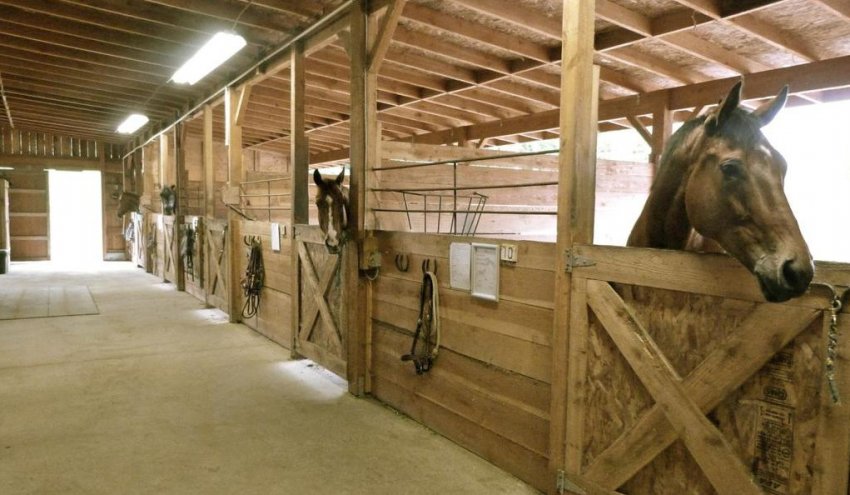 Конюшня Конюшня