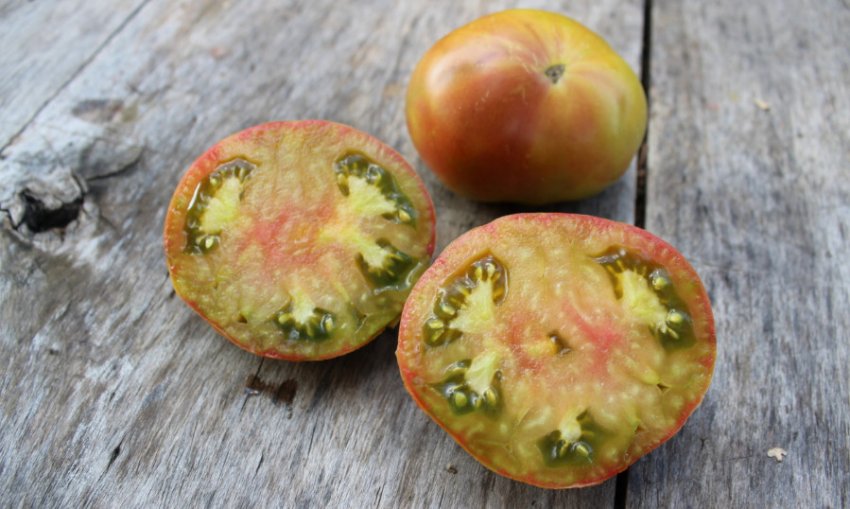 Томат Ананас