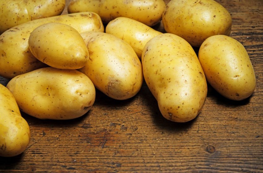 Картопля Казка Картопля Казка