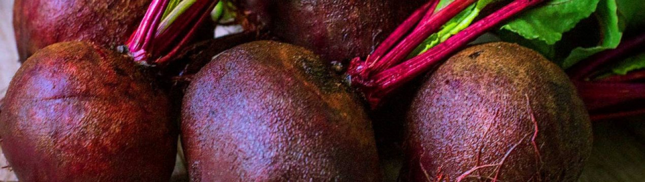 Коли садити буряки насінням у відкритий грунт навесні?