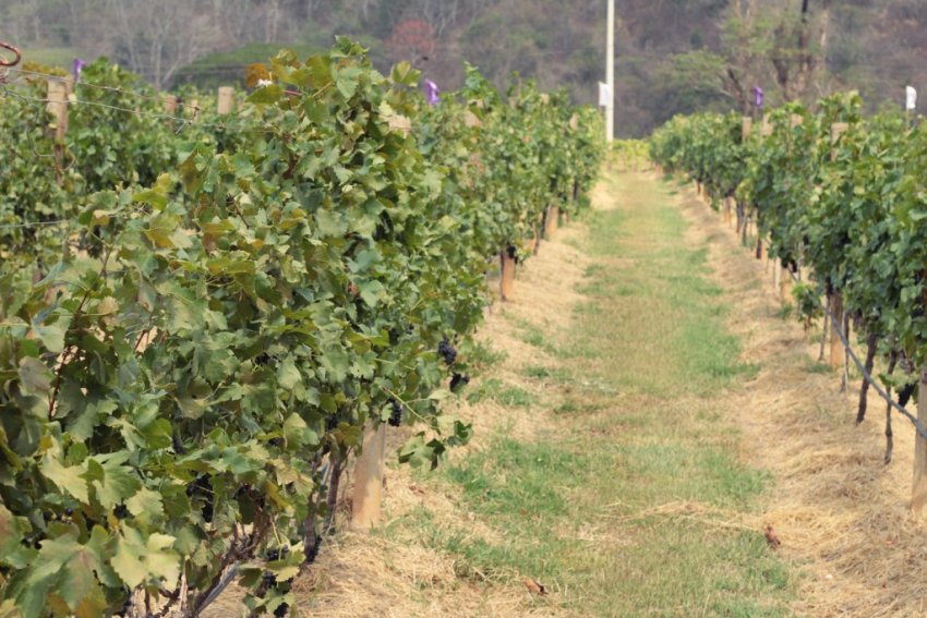 Вибір місця