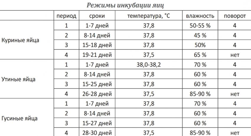 Режими інкубації яєць Режими інкубації яєць
